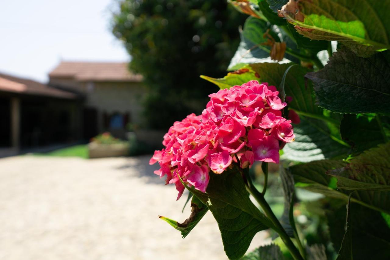 Casa Mindela Farmhouse Giao  Exterior photo